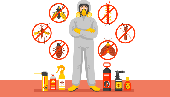 Guía para elegir servicios de fumigación de plagas