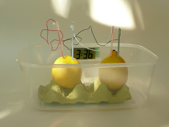 Cómo generar electricidad a partir de un limón para encender un pequeño Led 