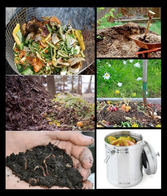 Cómo hacer compost. Una forma de producir tu fertilizante de manera barata