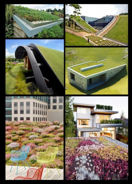 Las cubiertas ajardinadas o ecológicas, son una solución bioclimática para nuestros edificios 