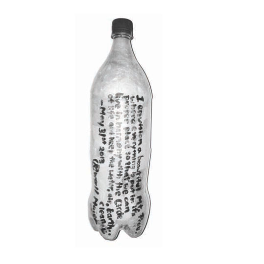 Un sistema constructivo que aprovecha las botellas de plástico usadas 
