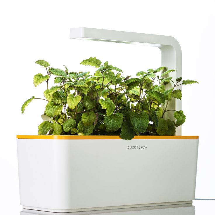 Un dispositivo inteligente que te ayuda a cultivar tus plantas 