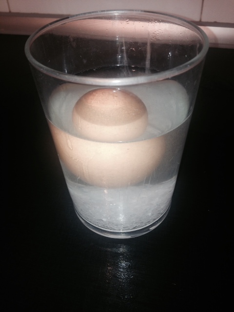Un experimento para niños, hacer flotar un huevo en agua   