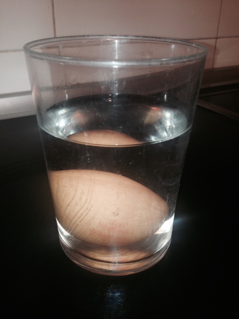 Un experimento para niños, hacer flotar un huevo en agua   