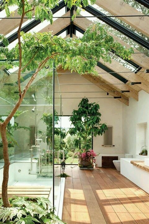 Consejos para decorar los interiores de una casa con plantas 