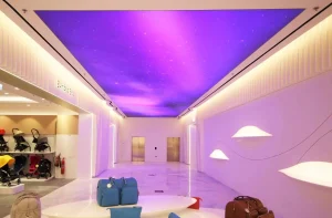 Stretch vinyl ceiling interior design example